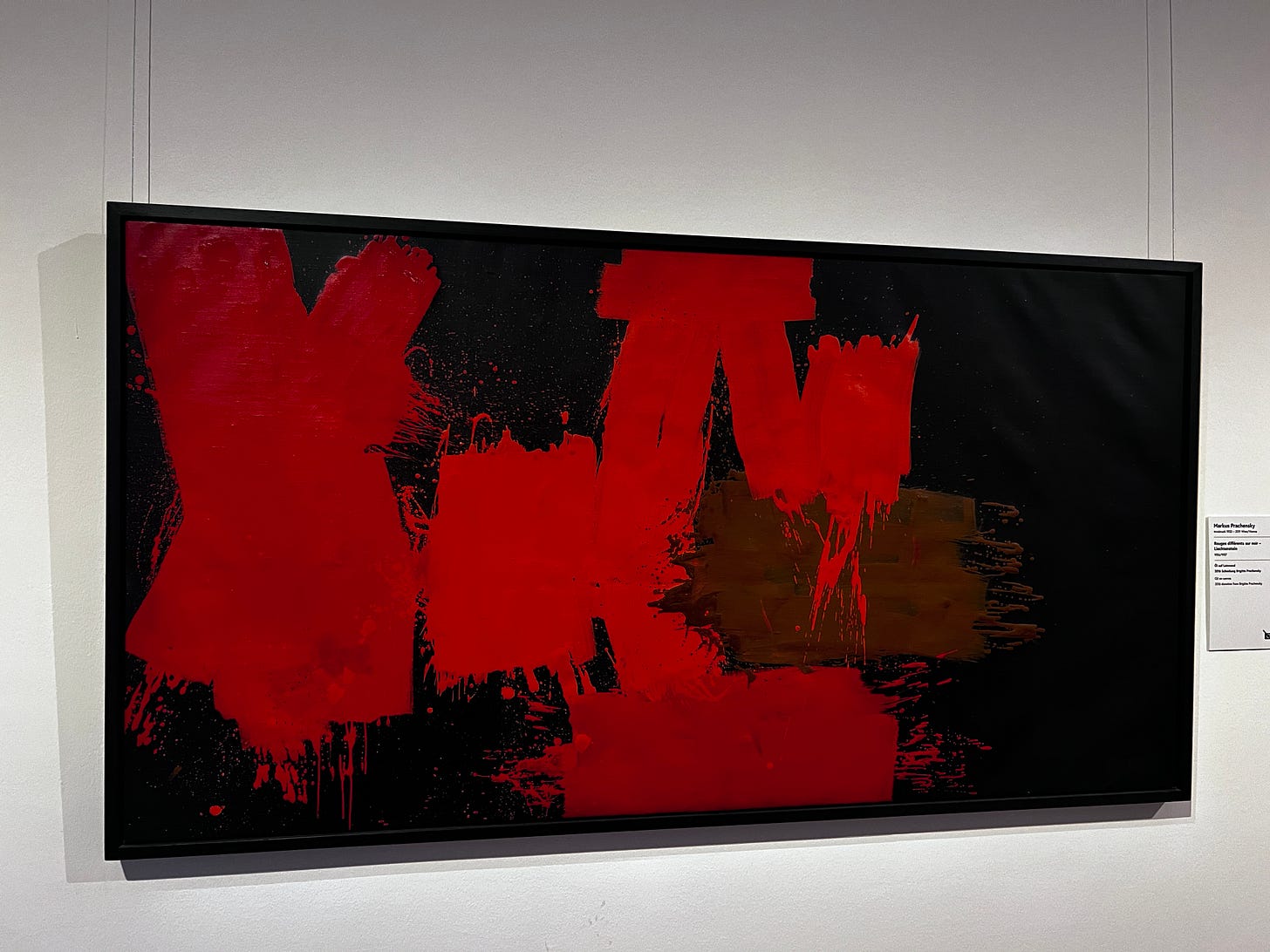 Spotted in the wild in Vienna