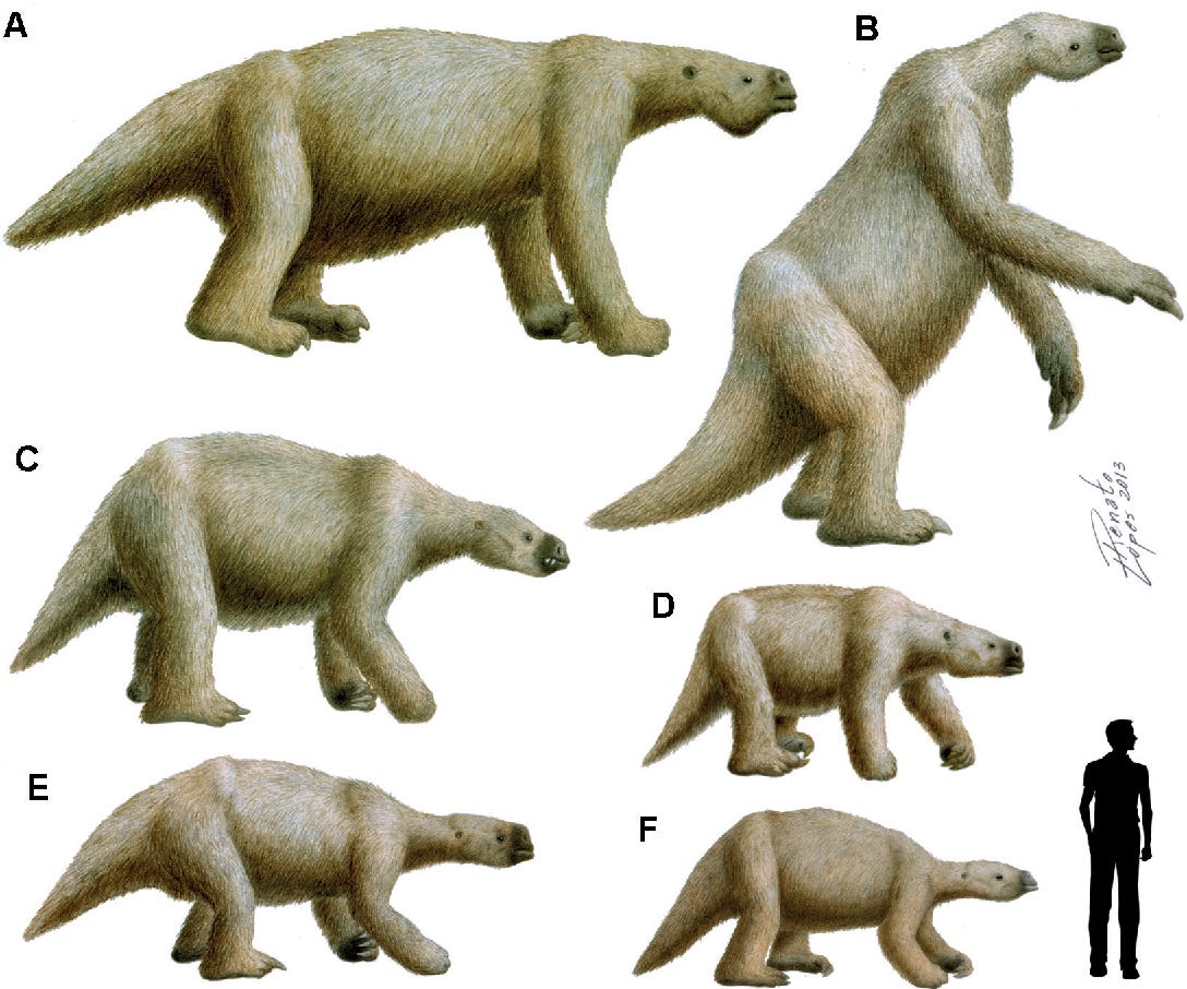 I am quite a bit more upset about the Ground Sloth than the Passenger Pigeon